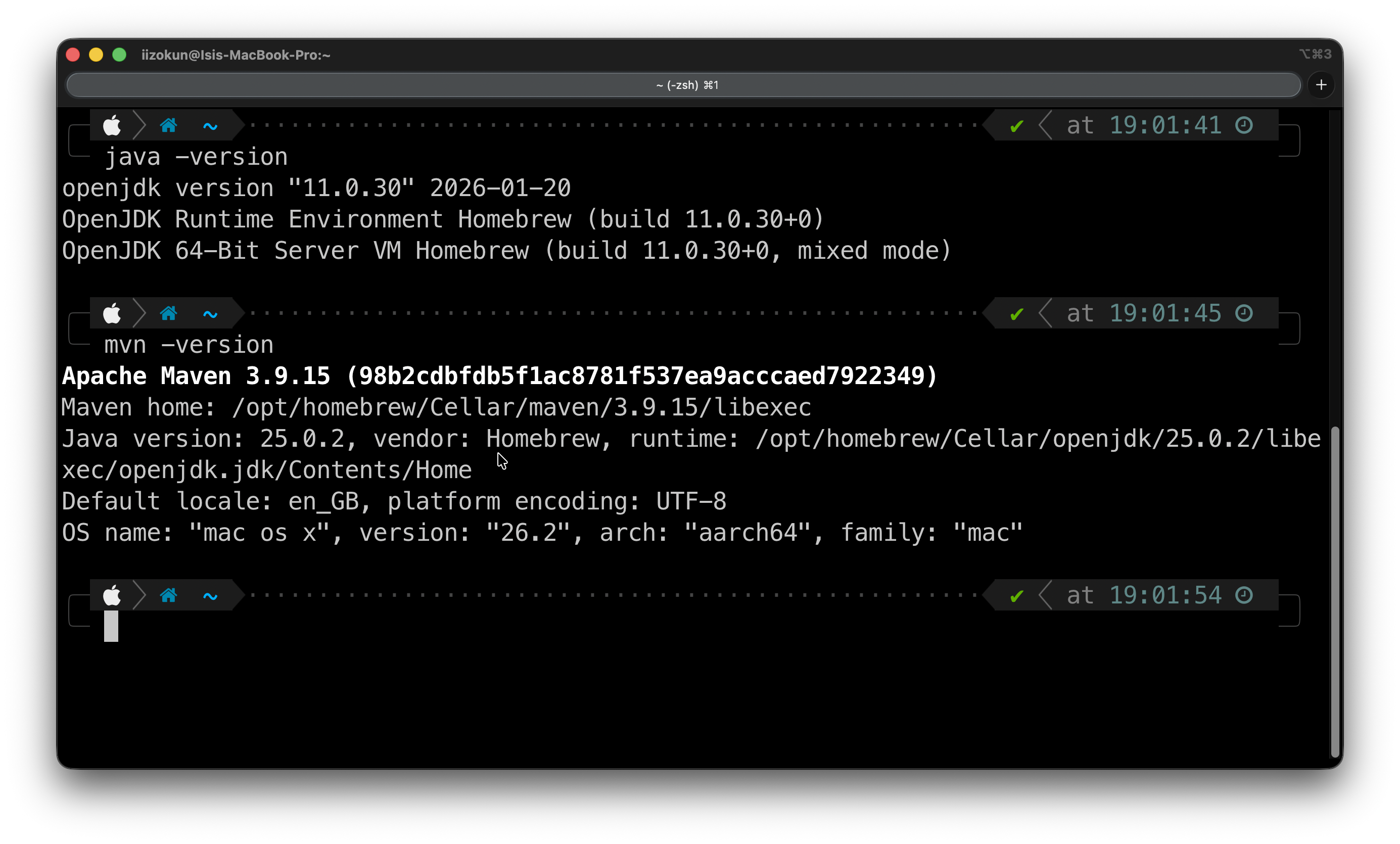 Java and Maven version check output